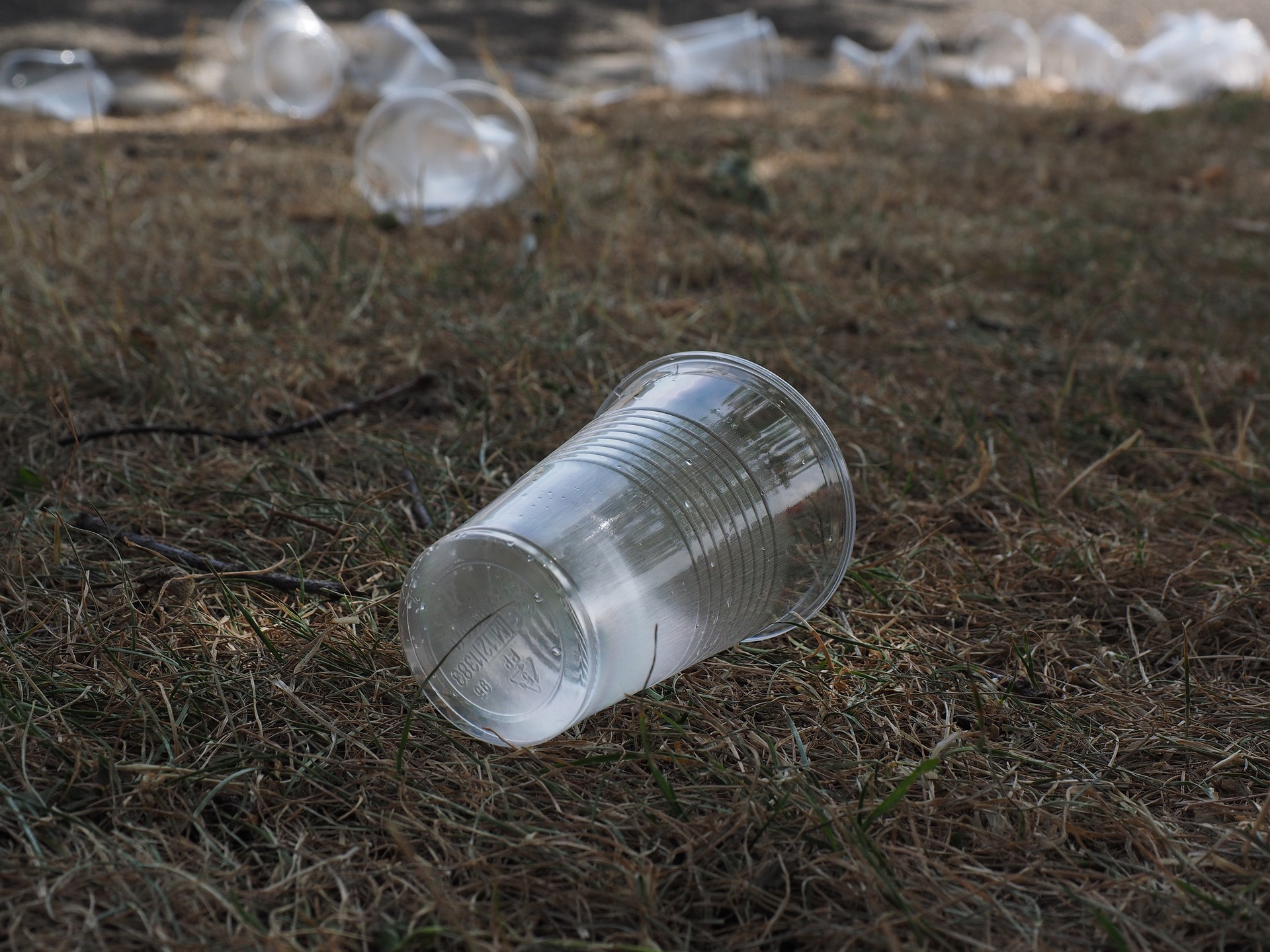 beverage cups g1b1142435 1920