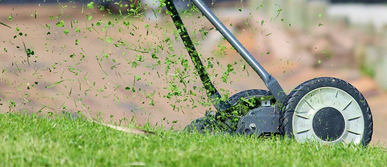 lawn mower 938555 1280