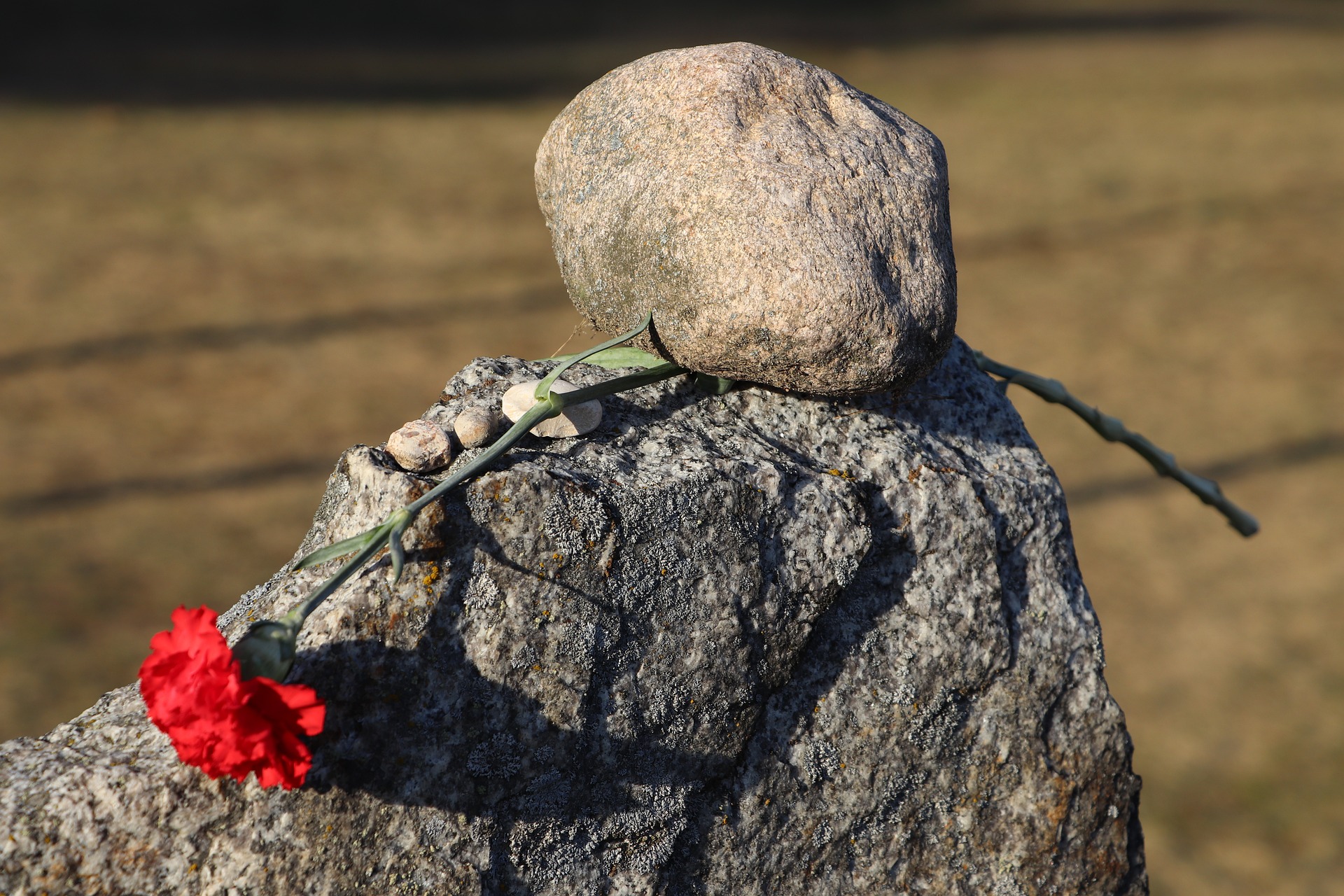 treblinka gac2747d85 1920